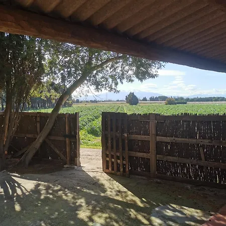 Domaine Du Mas Bazan 3* Alenya