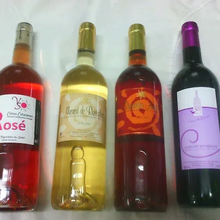 Domaine Du Mas Bazan Gæstehus