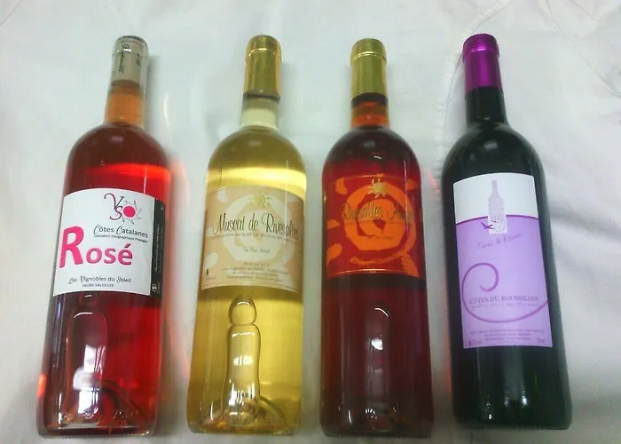 Domaine Du Mas Bazan Pensión